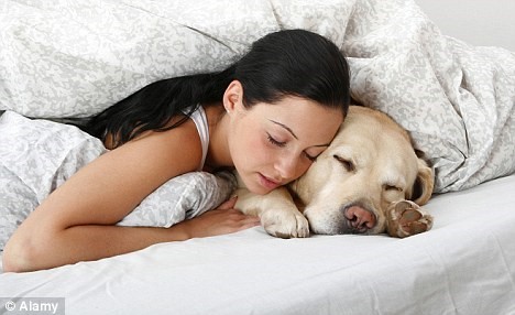 Should dog sleep with you on the bed?