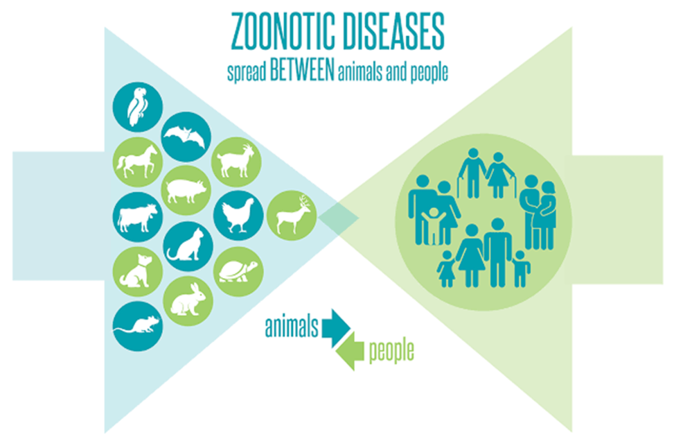 โรคติดต่อระหว่างคนและสัตว์ (ZOONOTIC DISEASE)