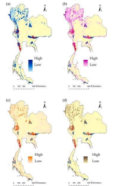 Habitat Connectivity For Endangered Indochinese Tigers In Thailand
