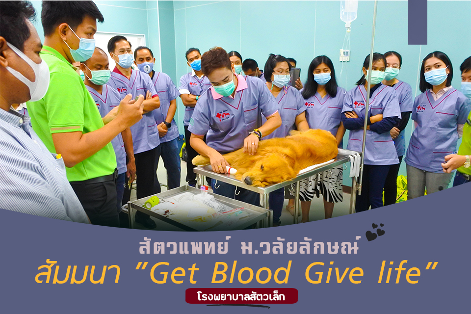 Get Blood Give life