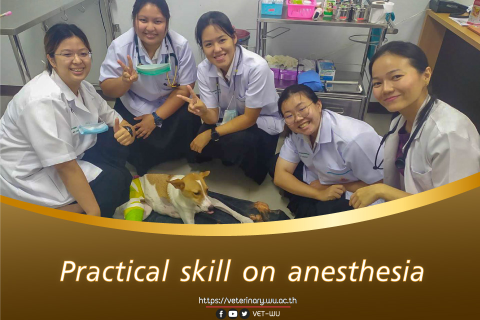 Practical skill on anesthesia