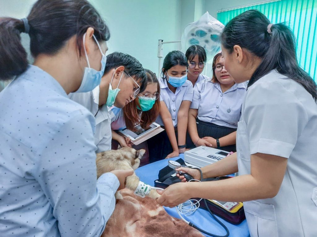 Veterinary teaching