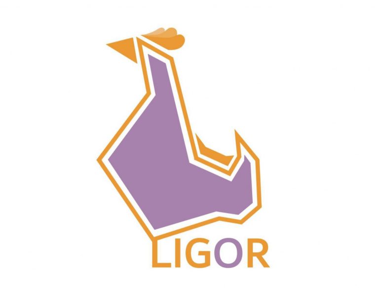 ANNOUNCEMENT OF THE RESULTS OF THE BADGE CONTEST ON THE TOPIC “CHICKEN LIGOR, CHICKEN OF KON KORN