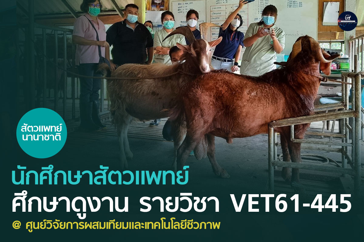 ศึกษาดูงาน ณ ศูนย์วิจัยการผสมเทียมและเทคโนโลยีชีวภาพสุราษฎร์ธานี