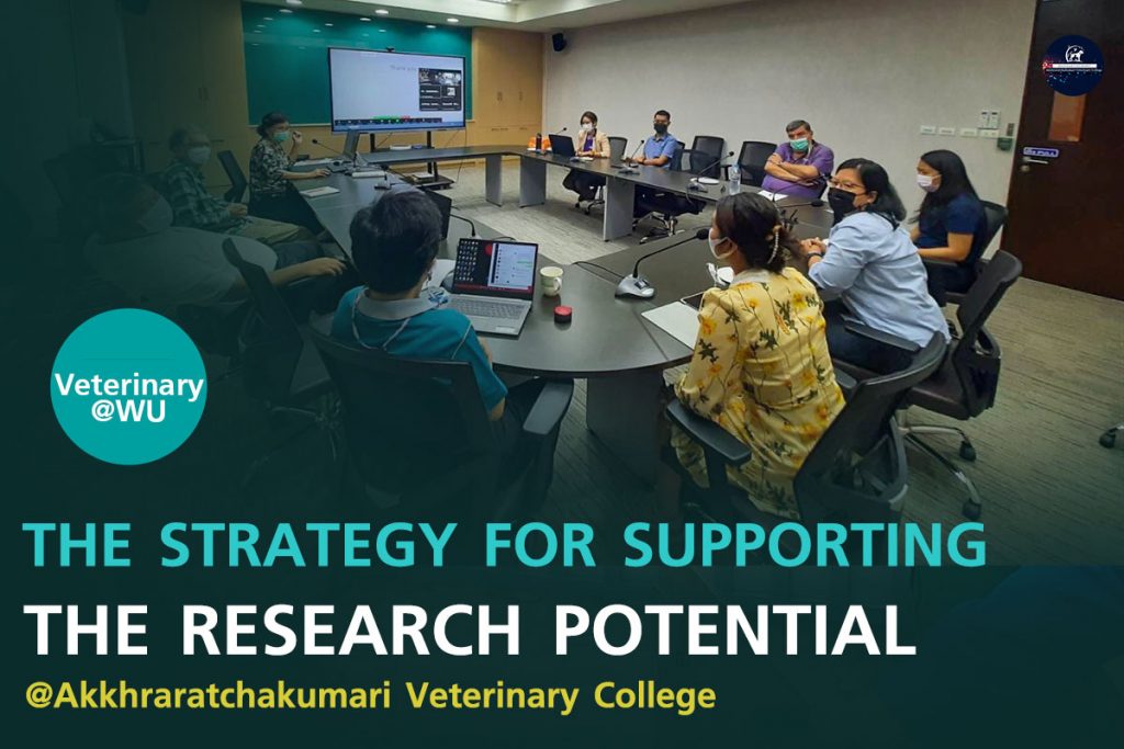The strategy for supporting the research potential