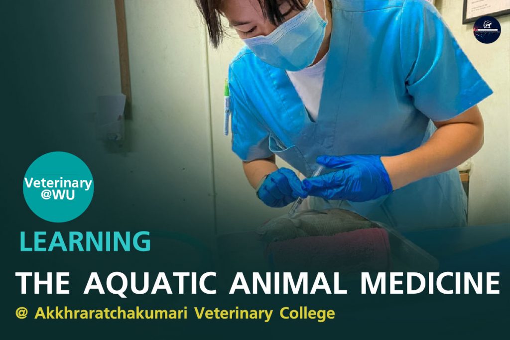 Learning the aquatic animal medicine