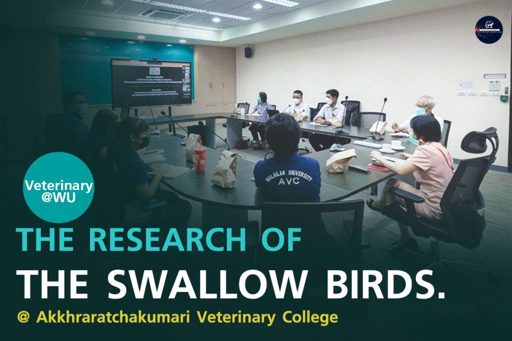 Veterinary Collage attended a meeting with the Vice President (Prof. Dr. Wanna Churit) on the research of the swallow birds.