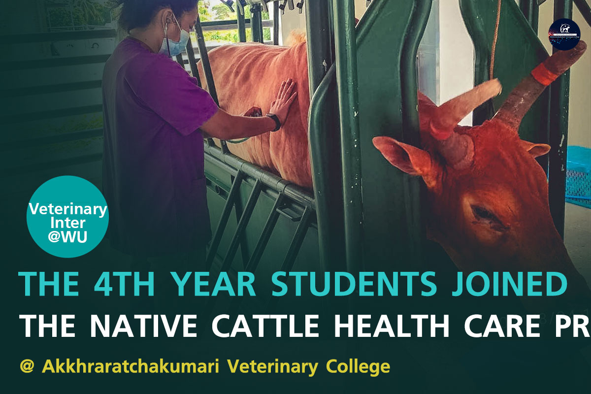 THE 4TH YEAR STUDENTS JOINED THE NATIVE CATTLE HEALTH CARE PROGRAM