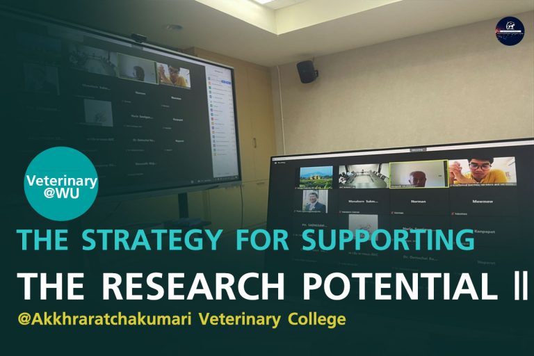 THE STRATEGY FOR SUPPORTING THE RESEARCH POTENTIAL ||