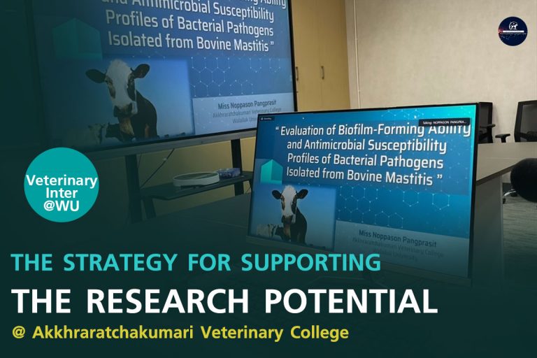 THE STRATEGY FOR SUPPORTING THE RESEARCH POTENTIAL