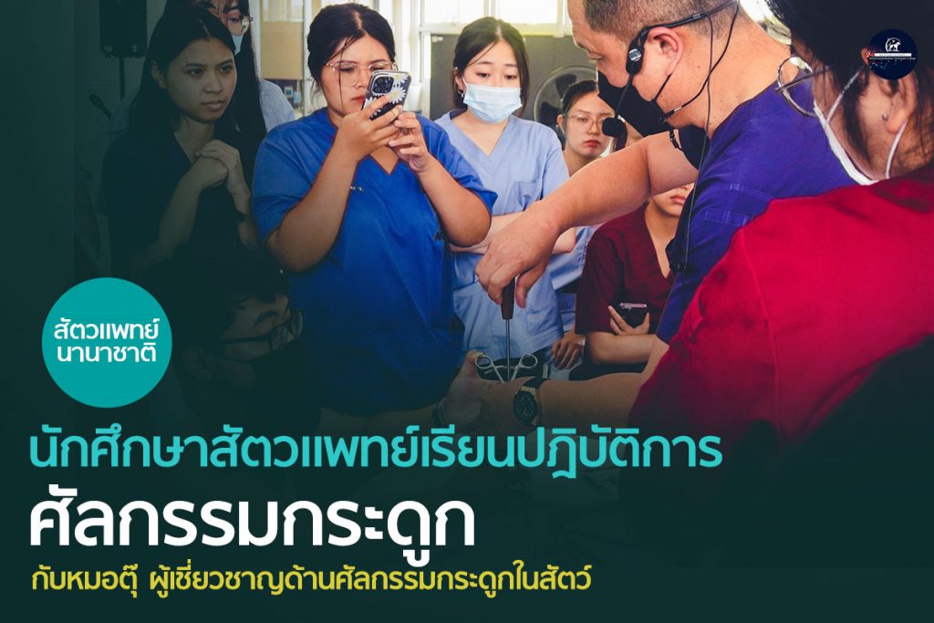 นักศึกษาสัตวแพทย์ ชั้นปีที่ 3 เรียนปฎิบัติการด้านศัลกรรมกระดูก