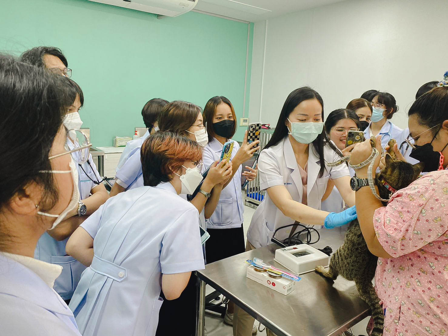 Veterinary students learn to examine the skin of small animals
