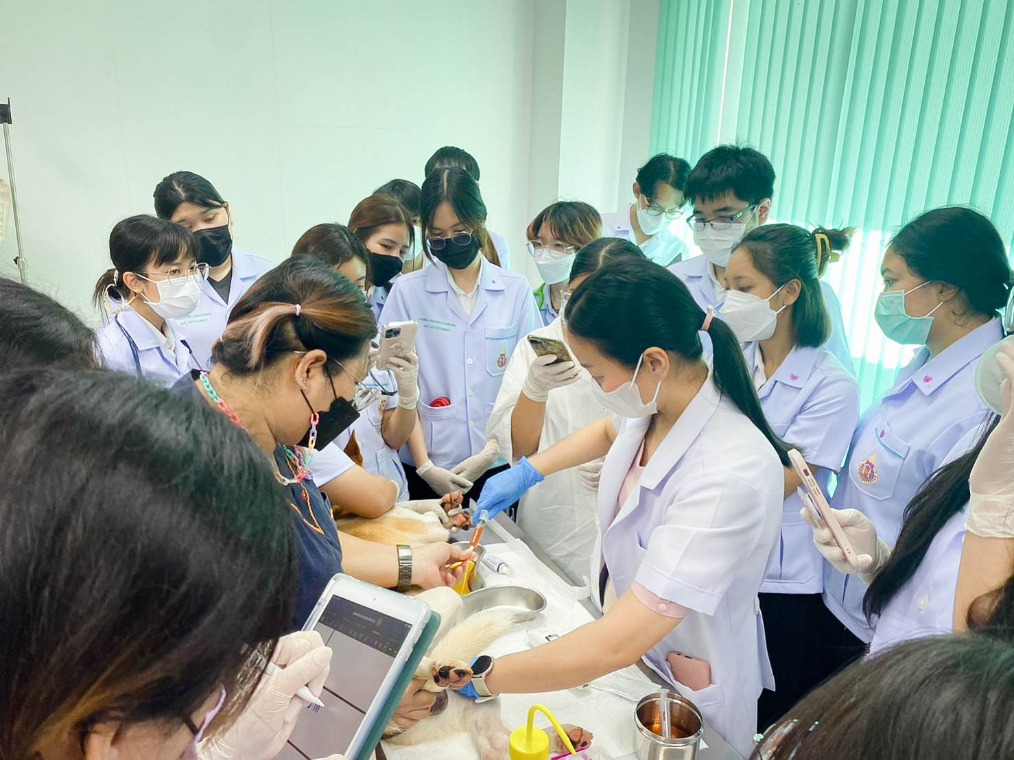 The veterinary students learn sample collection and urine testing in small animals.