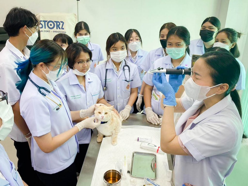 นักศึกษาสัตวแพทย์เรียนการเก็บตัวอย่างและการตรวจปัสสาวะในสัตว์เล็ก