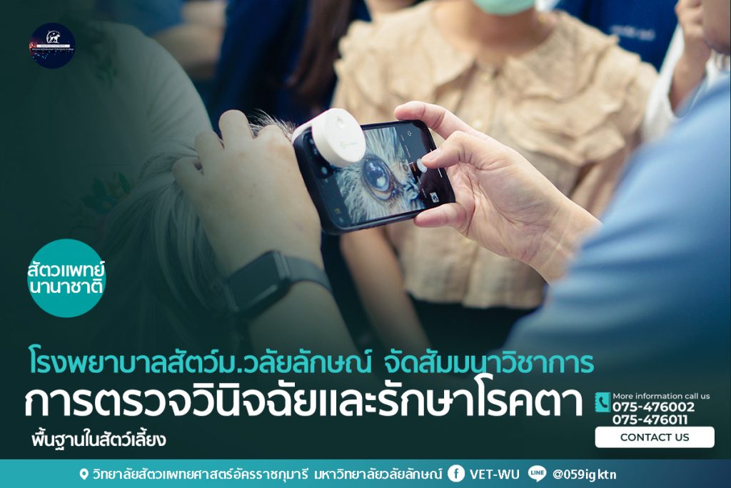 สัมมนาวิชาการการตรวจวินิจฉัยและรักษาโรคตาพื้นฐานในสัตว์เลี้ยง