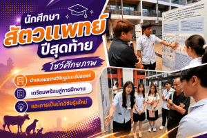 นักศึกษาสัตวแพทย์ปีสุดท้ายโชว์ศักยภาพ นำเสนอผลงานวิจัยรูปแบบโปสเตอร์ เตรียมพร้อมสู่การฝึกงานและการเป็นนักวิจัยรุ่นใหม่