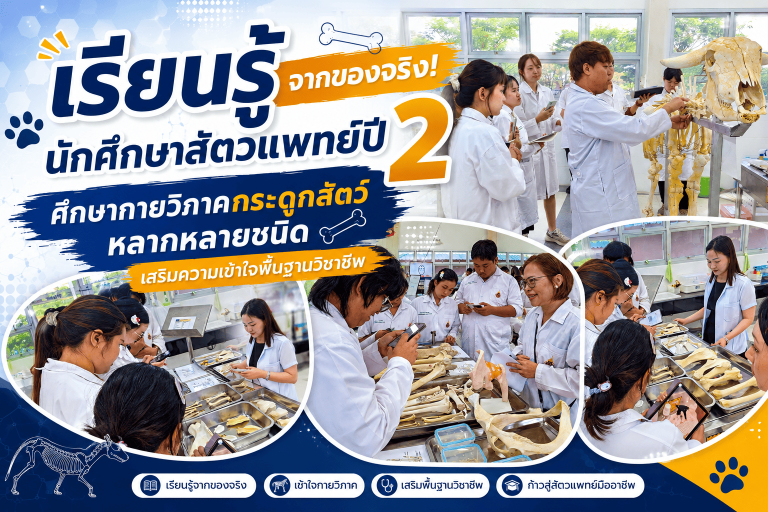 เรียนรู้จากของจริง! นักศึกษาสัตวแพทย์ปี 2 ศึกษากายวิภาคกระดูกสัตว์หลากหลายชนิด เสริมความเข้าใจพื้นฐานวิชาชีพ