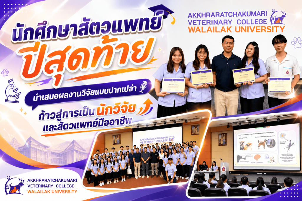 นักศึกษาสัตวแพทย์ปีสุดท้ายนำเสนอผลงานวิจัยแบบปากเปล่า ก้าวสู่การเป็นนักวิจัยและสัตวแพทย์มืออาชีพ