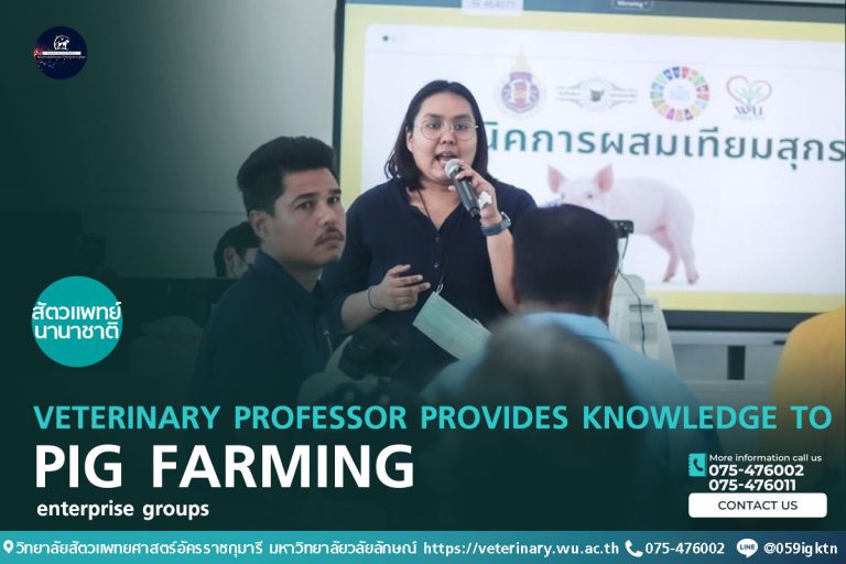 Veterinary professor provides knowledge to pig farming enterprise groups.