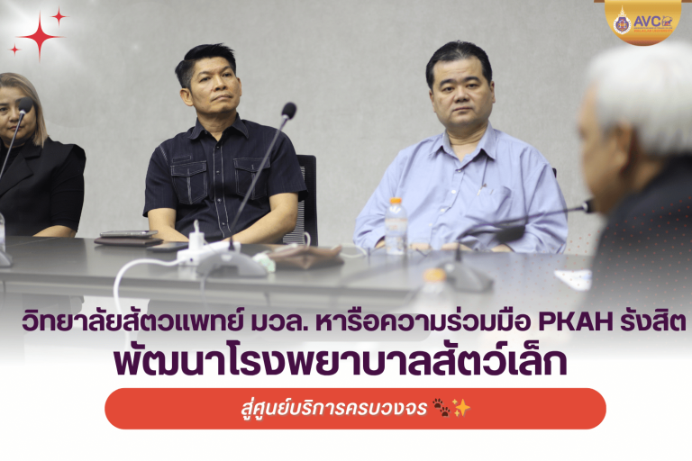 🏥🤝 วิทยาลัยสัตวแพทย์ มวล. หารือความร่วมมือ PKAH รังสิต เดินหน้าพัฒนาโรงพยาบาลสัตว์เล็กสู่ศูนย์บริการครบวงจร 🐾✨