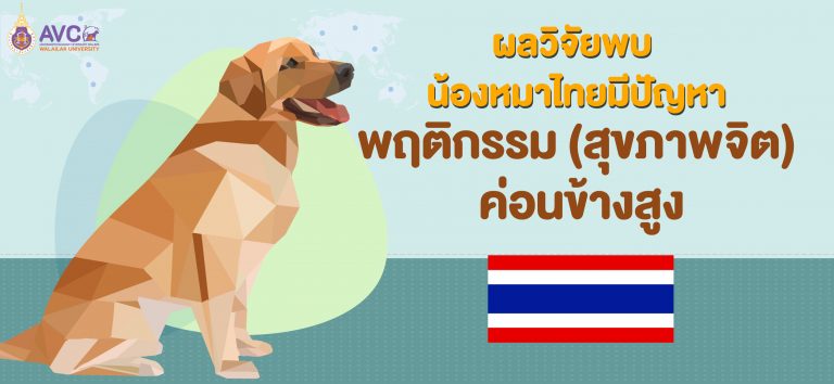 ผลวิจัยพบ น้องหมาไทยมีปัญหาพฤติกรรม (สุขภาพจิต) ค่อนข้างสูง