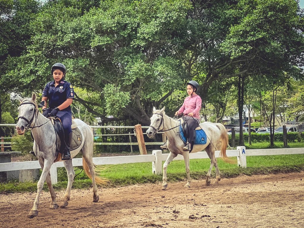 ชมรมขี่ม้า