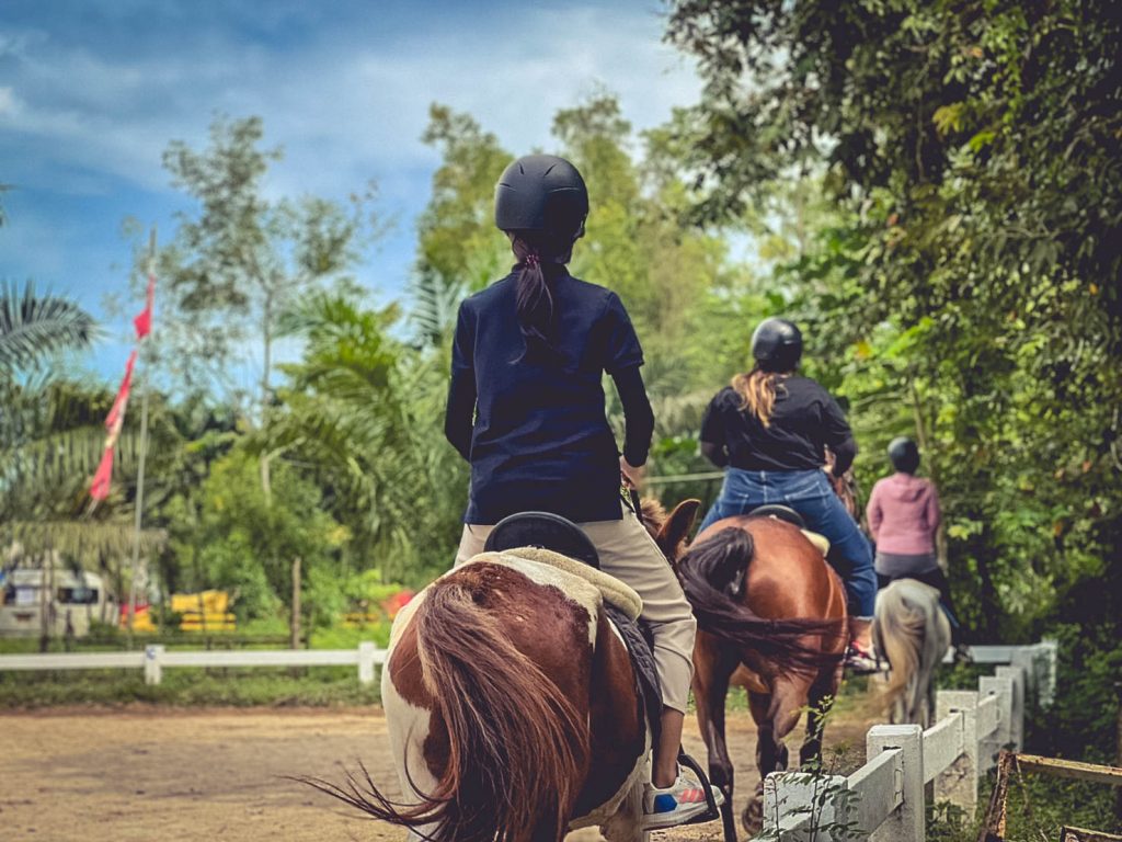 ชมรมขี่ม้า