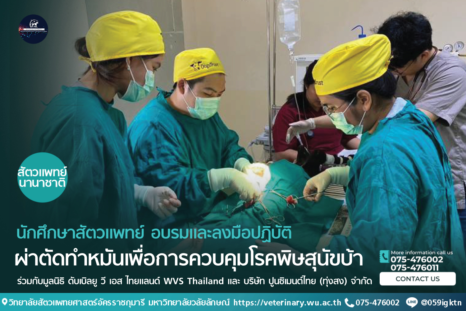 นักศึกษาสัตวแพทย์ อบรมและลงมือปฏิบัติ ผ่าตัดทำหมันเพื่อการควบคุมโรคพิษสุนัขบ้า