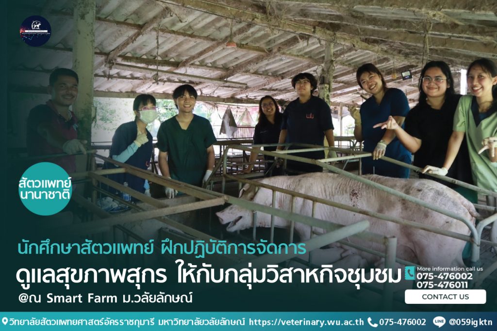 วิทยาลัยสัตวแพทยศาสตร์อัครราชกุมารี จัดกิจกรรมบริการวิชาการบูรณาการการเรียนการสอนในการฝึกปฏิบัติการจัดการดูแลสุขภาพสุกร ให้กับกลุ่มวิสาหกิจชุมชมผู้เลี้ยงหมูครบวงจร ชุมชนสาธิตวลัยลักษณ์พัฒนา