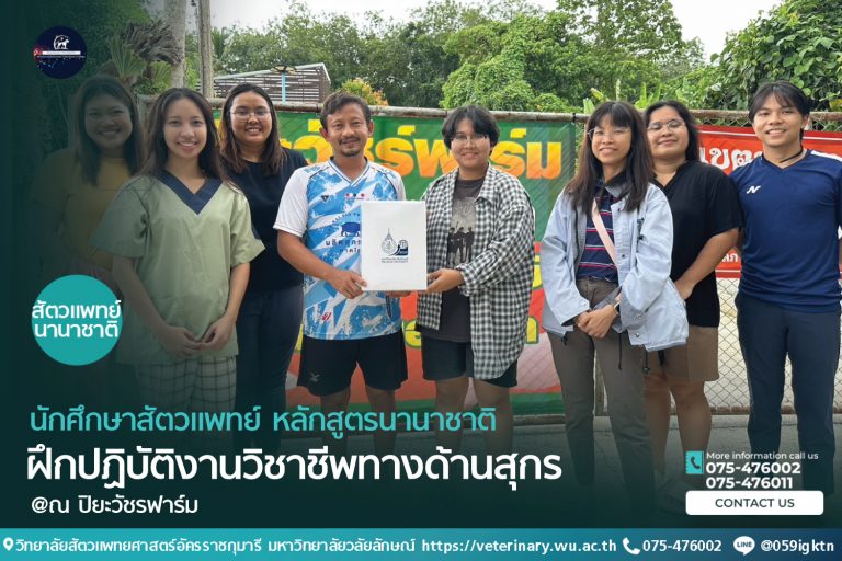 นักศึกษาสัตวแพทย์ ฝึกปฏิบัติงานวิชาชีพทางด้านสุกร ณ ปิยะวัชรฟาร์ม