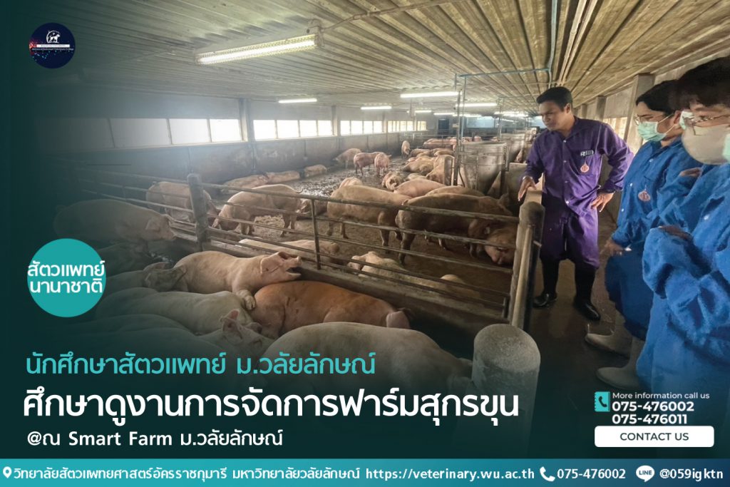 นักศึกษาสัตวแพทย์ ม.วลัยลักษณ์ ศึกษาดูงานการจัดการฟาร์มสุกรขุน ณ smart farm