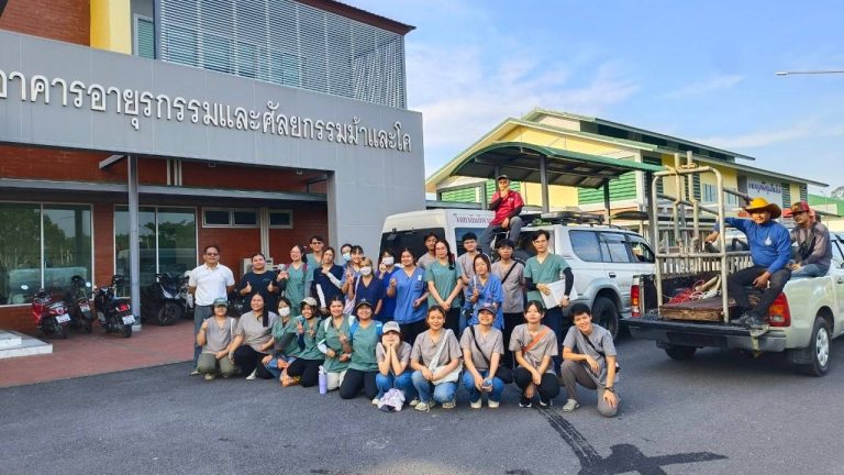 Students from the Veterinary Club volunteer to provide local cattle vaccination services.
