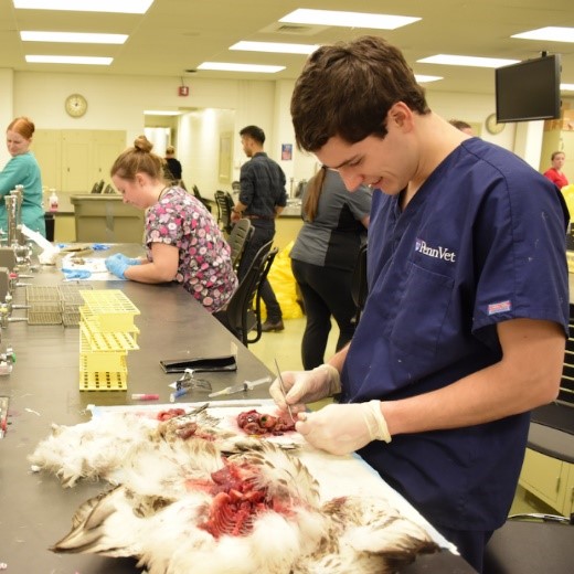 รู้หรือไม่ .... การชันสูตรให้อะไรได้มากกว่าที่คิด