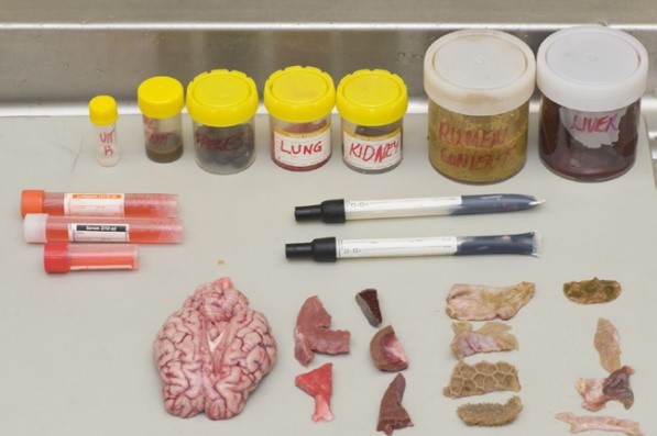 รู้หรือไม่ .... การชันสูตรให้อะไรได้มากกว่าที่คิด