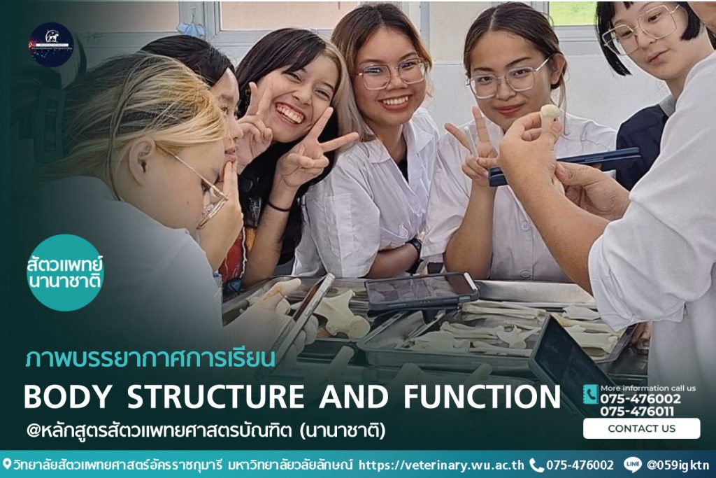 ภาพบรรยากาศการเรียนปฏิบัติการในรายวิชา Body Structure and Function (BSF) หลักสูตรสัตวแพทยศาสตร์ (นานาชาติ)