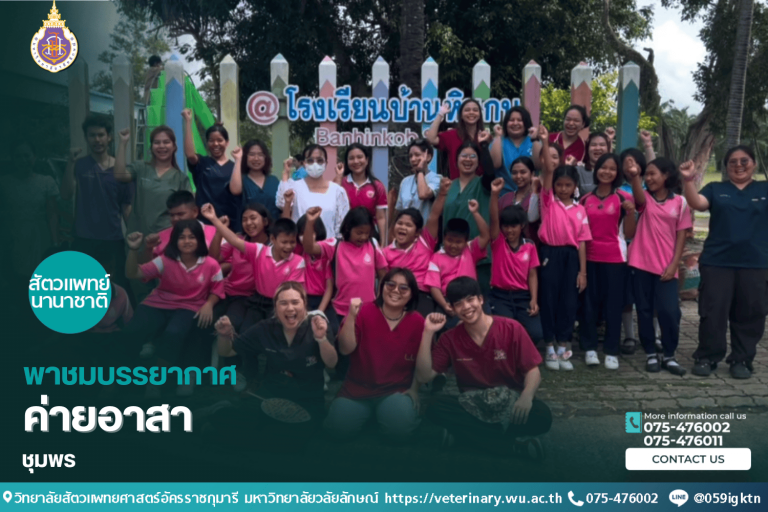 วิดีโอพาชมบรรยากาศค่ายอาสา