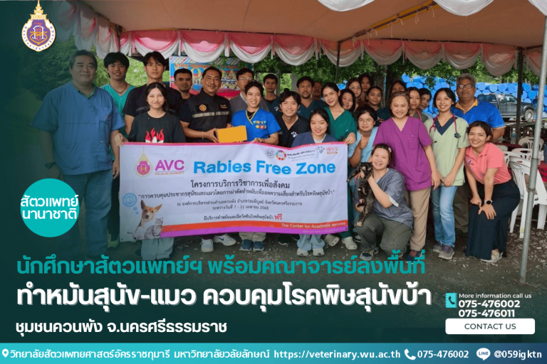 รวมพลังคนรุ่นใหม่! นักศึกษาสัตวแพทย์ฯ พร้อมคณาจารย์ ลงพื้นที่ทำหมันสุนัข-แมว ควบคุมโรคพิษสุนัขบ้าในชุมชนควนพัง
