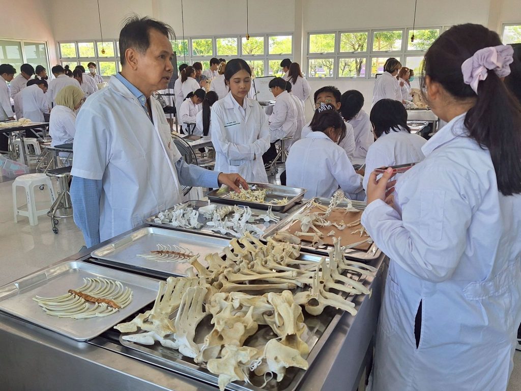 ต้อนรับเปิดเทอม 1/2568 กับวิชา BSF ศึกษากระดูกของสัตว์ชนิดต่างๆ