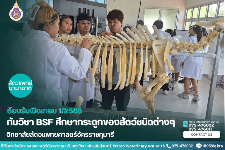 ต้อนรับเปิดเทอม 1/2568 กับวิชา BSF ศึกษากระดูกของสัตว์ชนิดต่างๆ