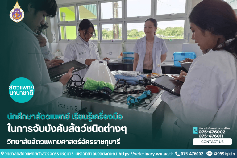 นักศึกษาสัตวแพทย์ เรียนรู้เครื่องมือในการจับบังคับสัตว์ชนิดต่างๆ