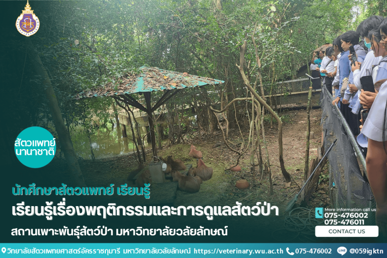 นักศึกษาสัตวแพทย์เรียนรู้เรื่องพฤติกรรมและการดูแลสัตว์ป่า