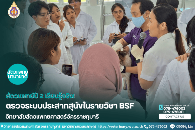 สัตวแพทย์ปี 2 เรียนรู้จริง! ตรวจระบบประสาทสุนัขในรายวิชา BSF