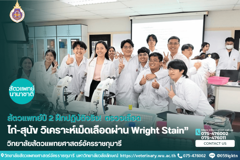 สัตวแพทย์ปี 2 ฝึกปฏิบัติจริง! ตรวจเลือด ไก่-สุนัข วิเคราะห์เม็ดเลือดผ่าน Wright Stain”