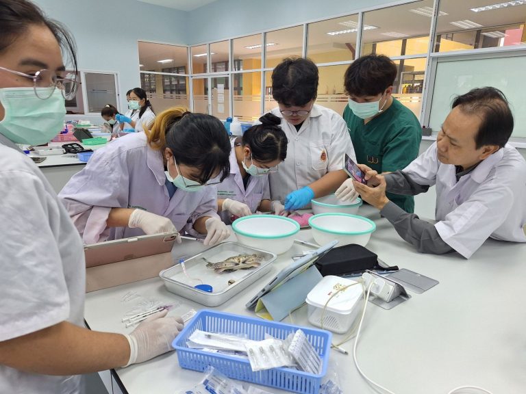 AQUATIC ANATOMY STUDY WITH VETERINARY MEDICINE (INTERNATIONAL PROGRAM) STUDENTS