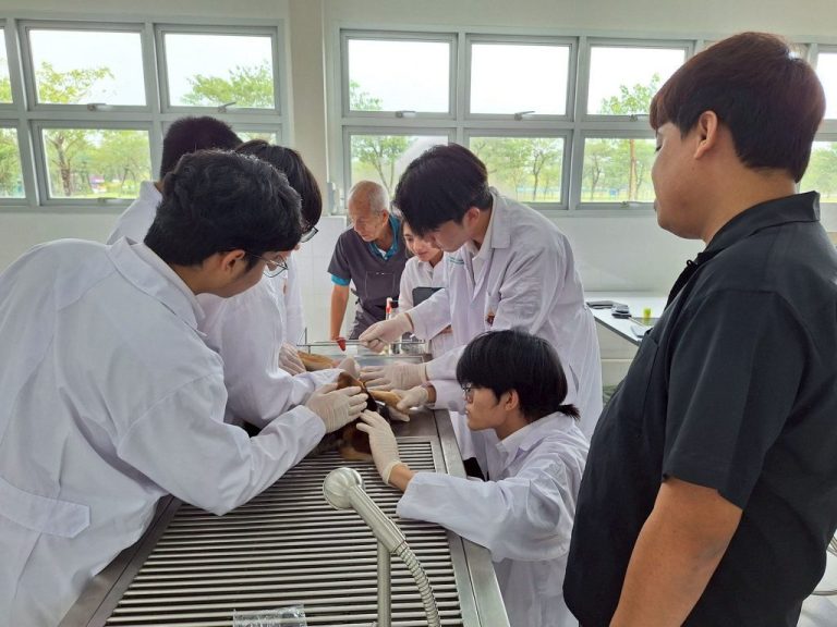 SECOND-YEAR VET STUDENTS PRACTICE CANINE NEUROLOGICAL EXAMINATION