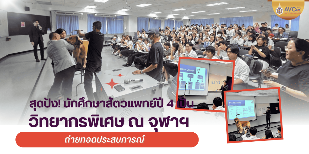 สุดปัง! นักศึกษาสัตวแพทย์ ม.วลัยลักษณ์ ขึ้นเวทีจุฬาฯ แชร์เทคนิคดูแลสุนัขประกวดระดับโลก