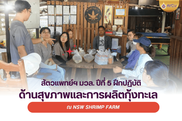 นักศึกษาสัตวแพทย์ชั้นปีที่ 5 ฝึกปฏิบัติด้านสุขภาพและการผลิตกุ้งทะเล ณ NSW Shrimp Farm