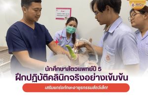 เสริมแกร่งทักษะอายุรกรรมสัตว์เล็ก! นักศึกษาสัตวแพทย์ปี 5 ฝึกปฏิบัติคลินิกจริงอย่างเข้มข้น