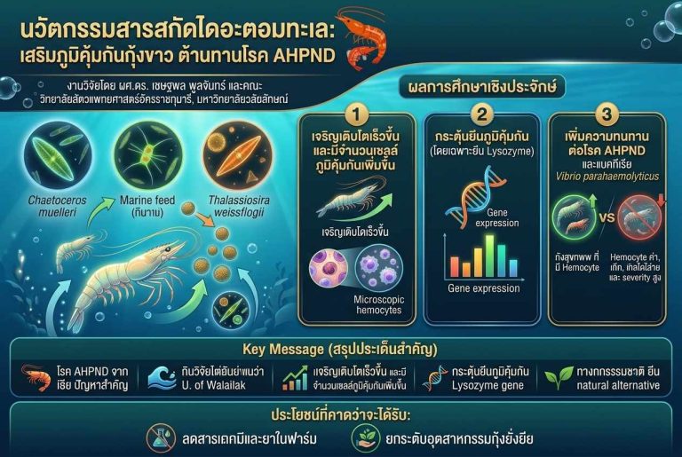 สารจากไดอะตอมทะเลช่วยเสริมภูมิคุ้มกันกุ้ง ลดความรุนแรงของโรคแบคทีเรียในฟาร์ม ลดการใช้สารเคมีและยาในฟาร์มได้