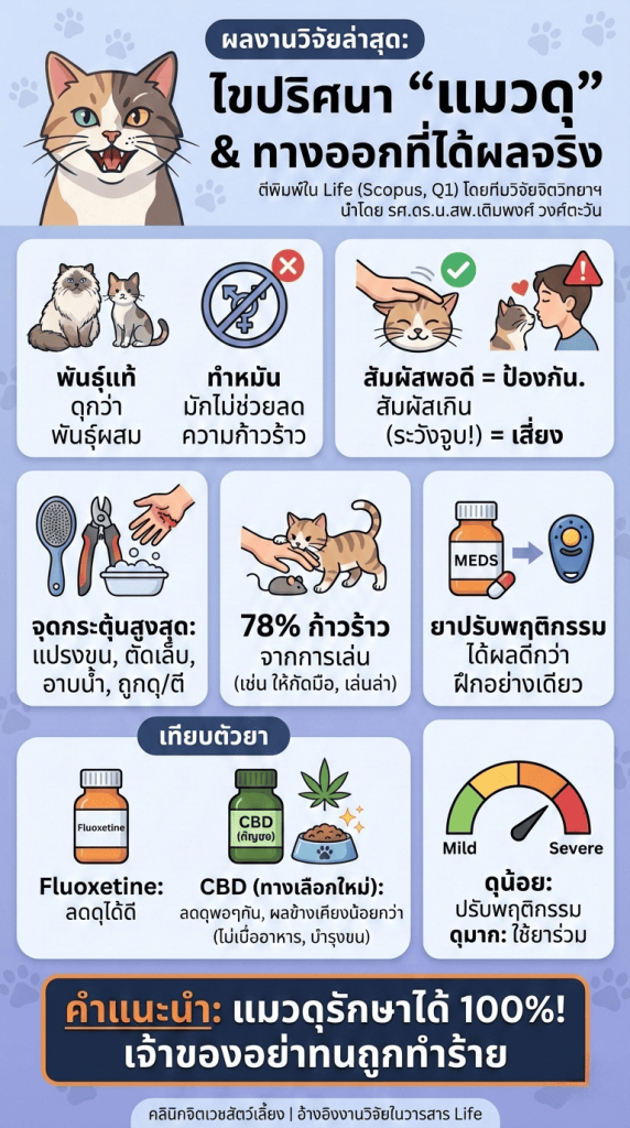 แนวทางการวินิจฉัยและรักษาพฤติกรรมก้าวร้าวในแมว